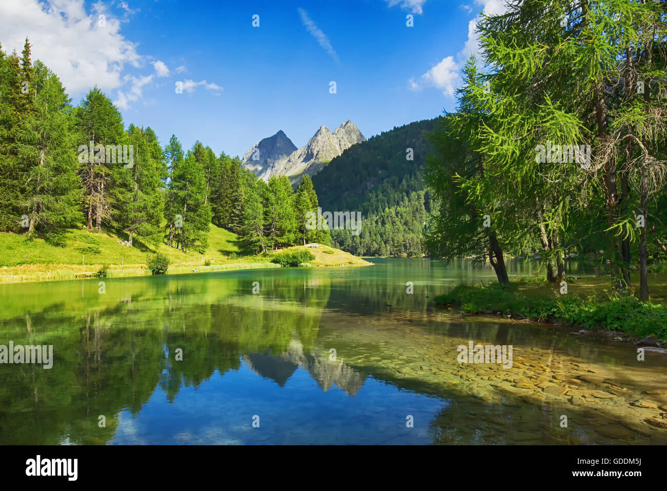 Nature,Landscape,Lake,Mountain lake,Water,Stones,Rocks,Switzerland,Tree,Trees,Summer,Cloud,Palpuognasee,Graubünden, Stock Photo