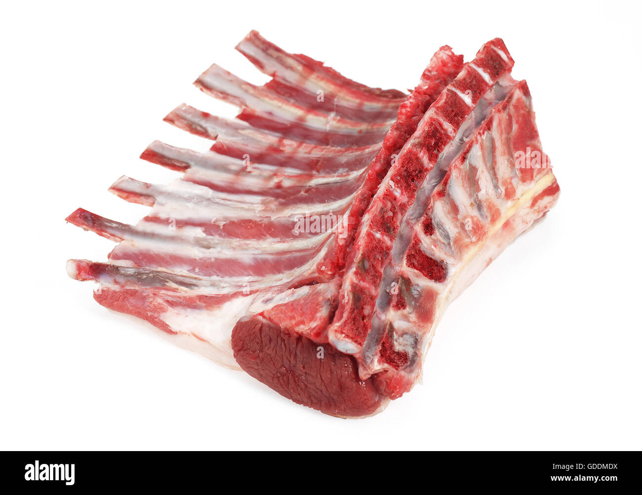 Loin of Lamb against White Background Stock Photo