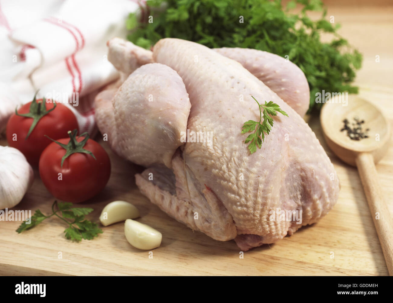 CHICKEN READY TO COOK WITH TOMATO, GARLIC AND PARSLEY Stock Photo