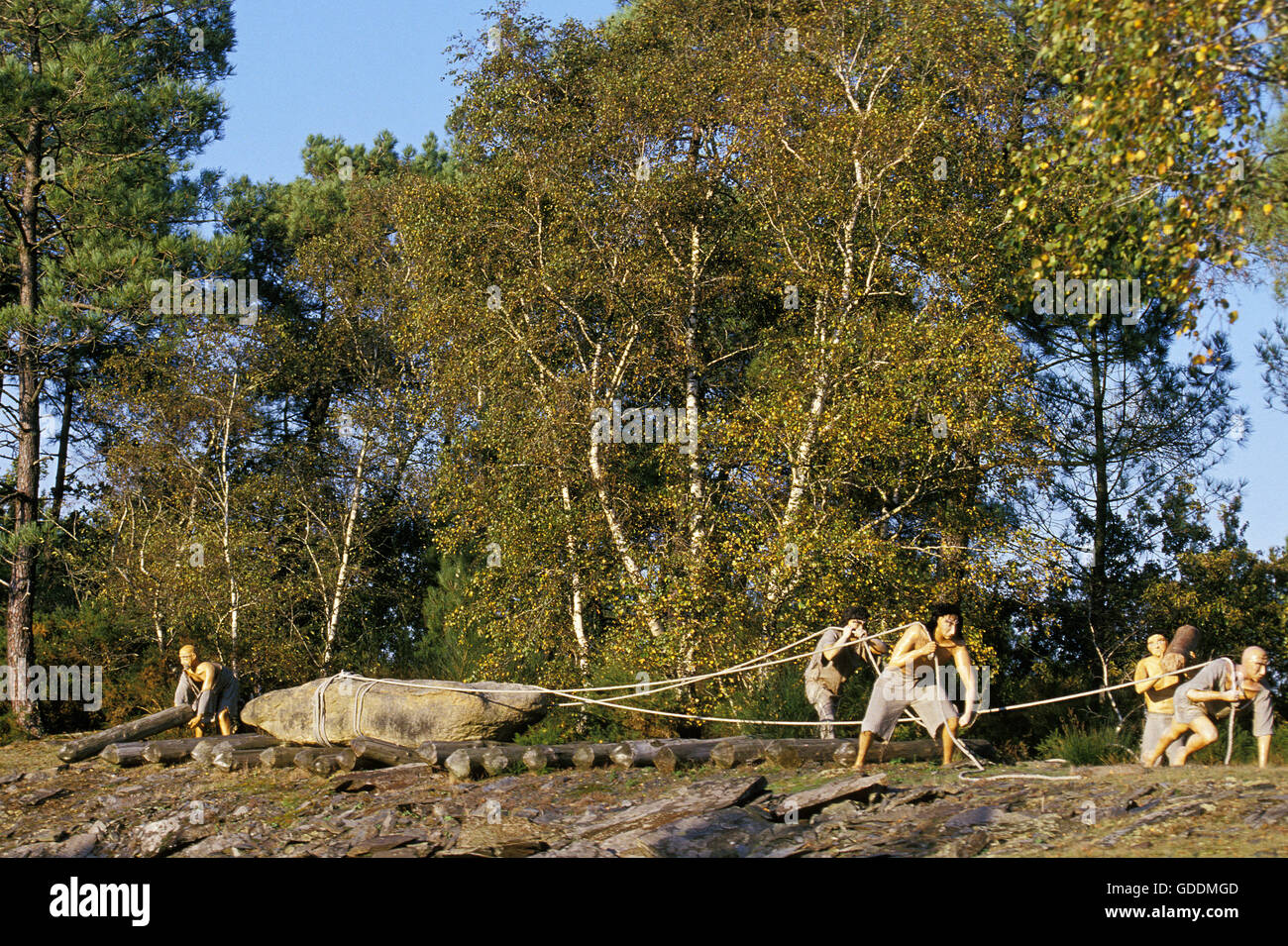 Prehistory, Prehistoric Men pulling Rock Stock Photo