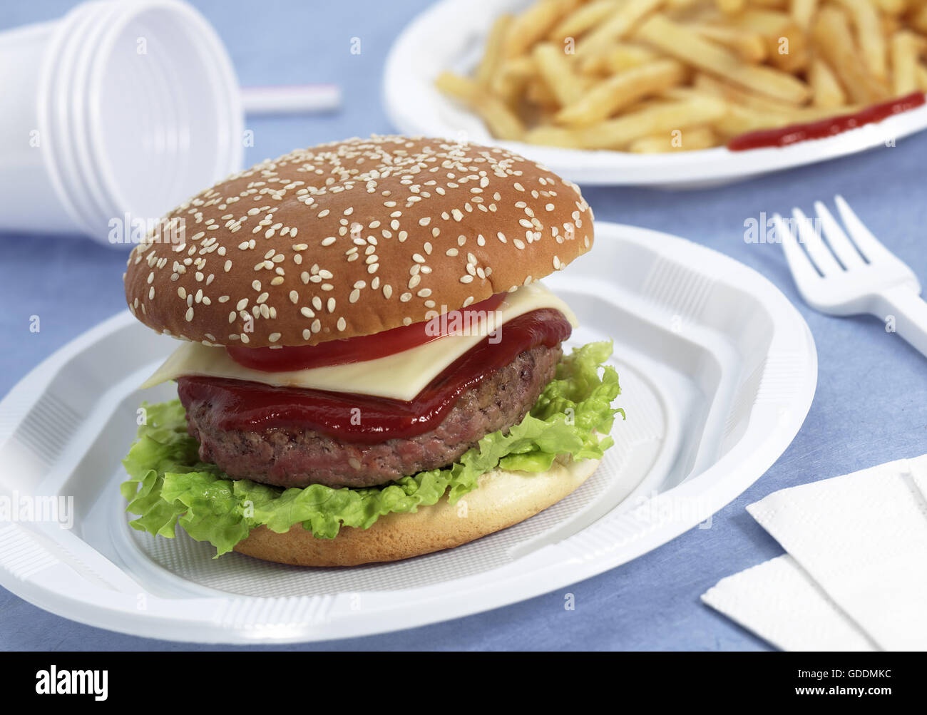 HAMBURGER AND FRENCH FRIES Stock Photo Alamy