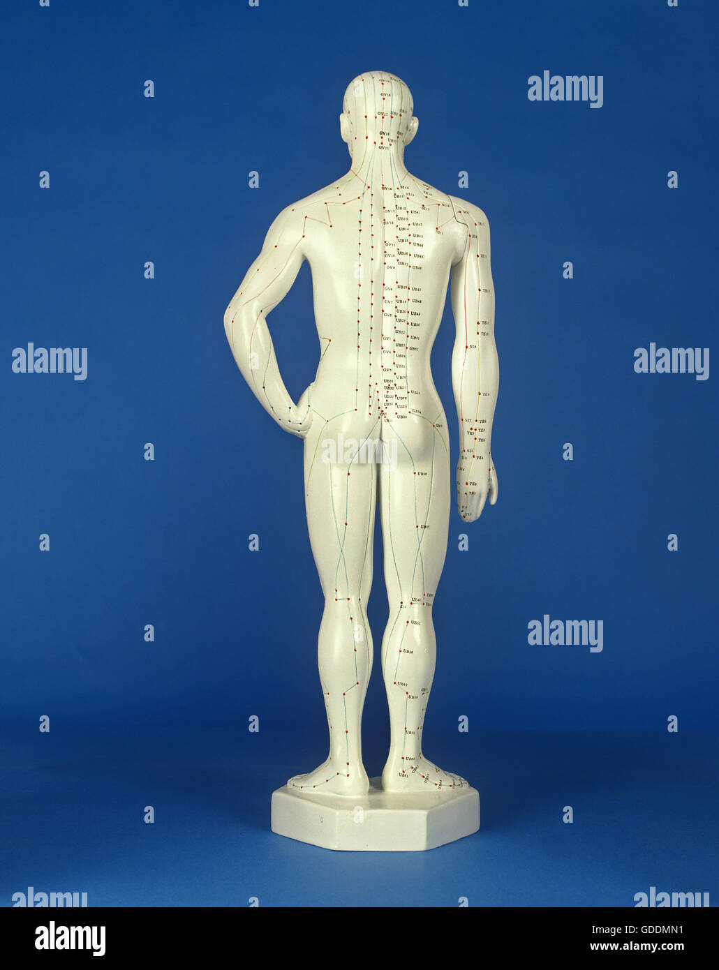 Man Statuette showing Acupuncture Points Stock Photo