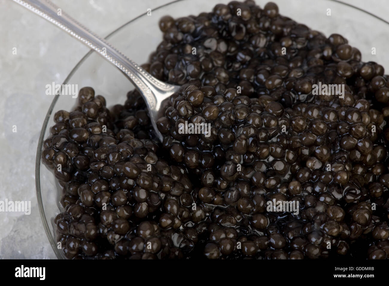 Caviar, Sturgeon's Eggs Stock Photo