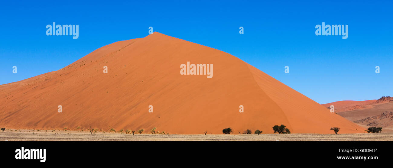 NAMIB-NAUKLUFT PARK IN NAMIB DESERT, SOSSULSVLEI DUNES, DUNE 45 IN NAMIBIA Stock Photo