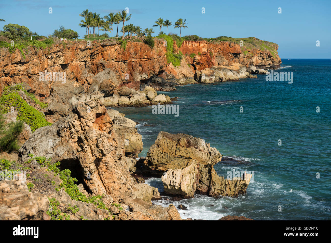 USA,Vereinigte Staaten,Amerika,South Pacific,Hawaii,Poipu Stock Photo