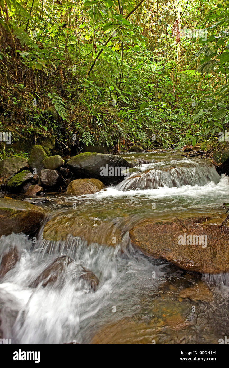 WATERFALLS, MANU NATIONAL PARK IN PERU Stock Photo