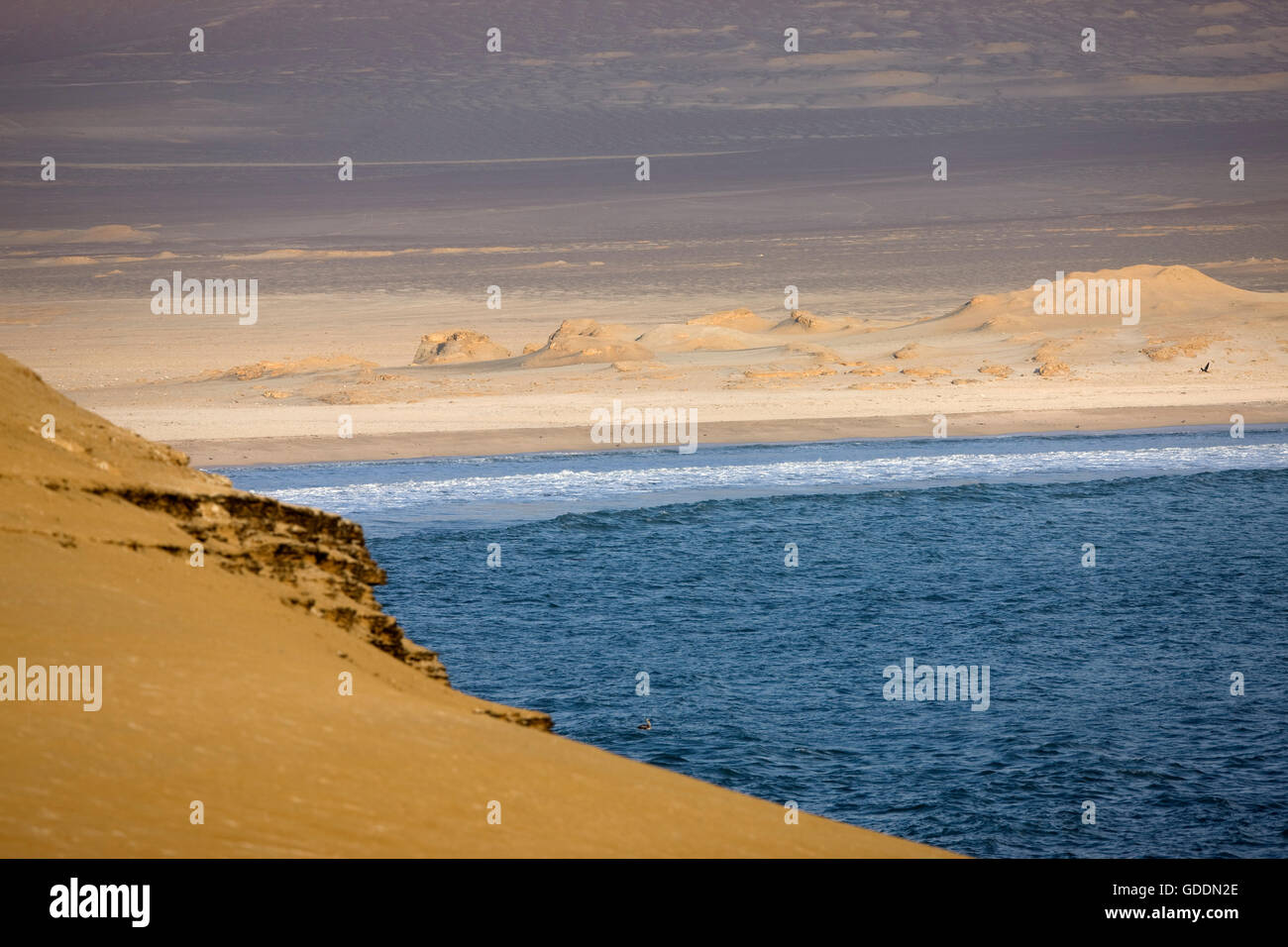 Desert and Ocean, Landscape in Paracas National Park, Peru Stock Photo