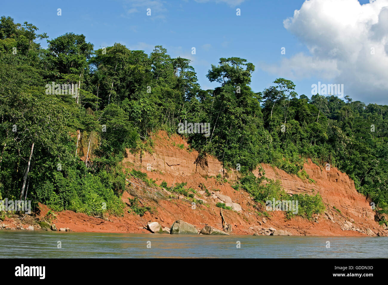Tropical Forest and Madre de Dios River, Manu National Park in Peru Stock Photo
