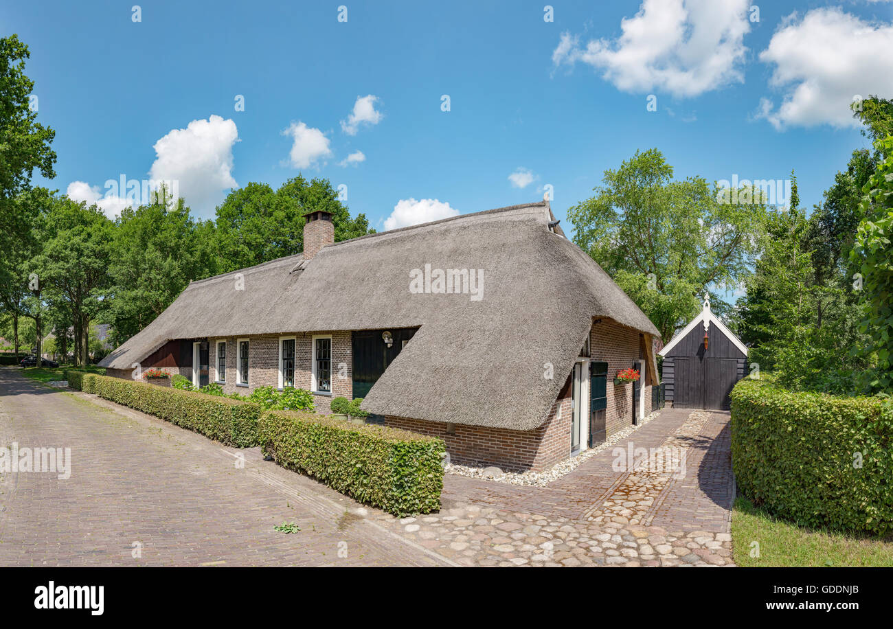 Norg,Drenthe,Farmhouse with a thatched roof Stock Photo