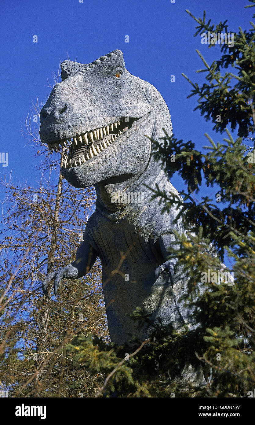 Menacing Tyrannosaurus Rex dinosaur Stock Photo - Alamy