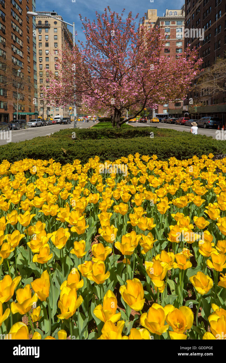 USA,New York,Manhattan,Upper Eastside,Park Avenue Stock Photo