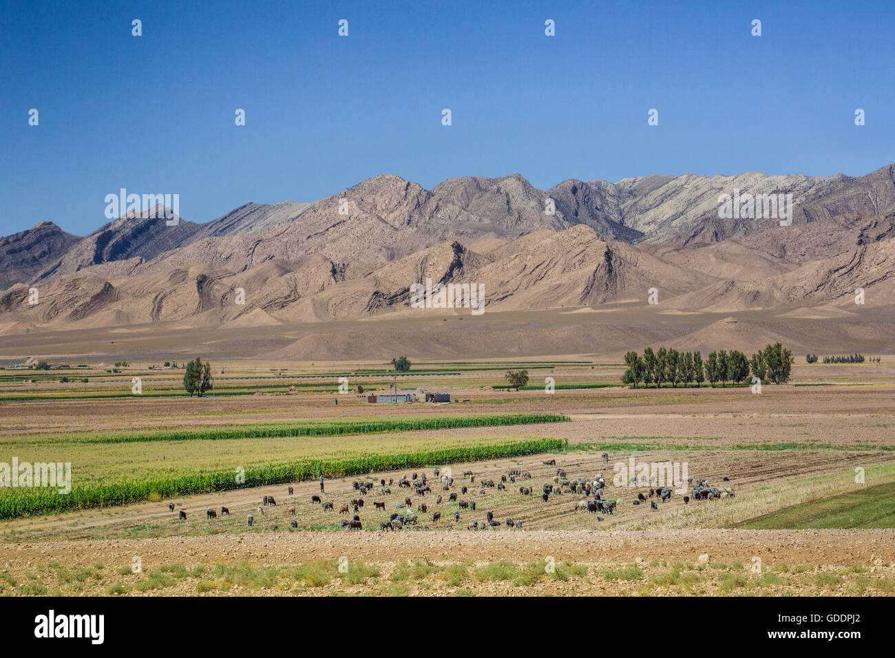 Iran,Landscape near Sarvestan City Stock Photo