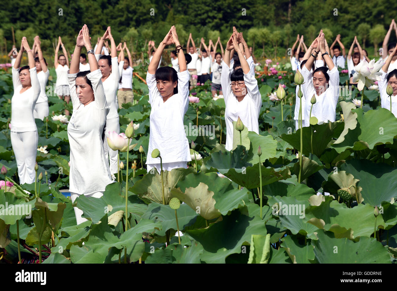 Jianning, China's Fujian Province. 15th July, 2016. Fans practice Yoga in a lotus culture park in Xiuzhu Village of Jianning County, southeast China's Fujian Province, July 15, 2016. About 1,000 fans attend a Yoga practice activity at the lotus field in the park on Friday. Credit:  Peng Zhangqing/Xinhua/Alamy Live News Stock Photo