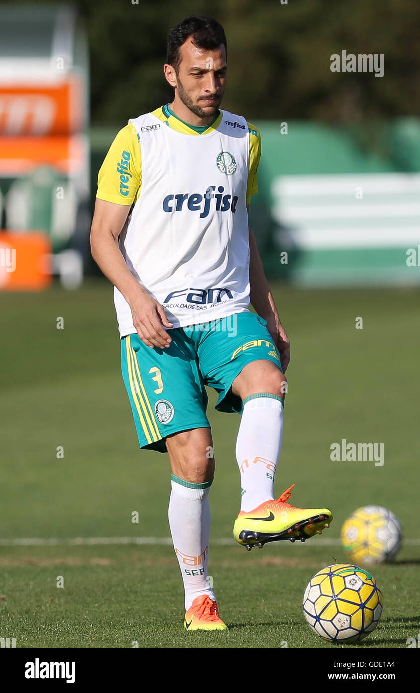 The player Edu Dracena, of SE Palmeiras, during training, the Football  Academy Stock Photo - Alamy