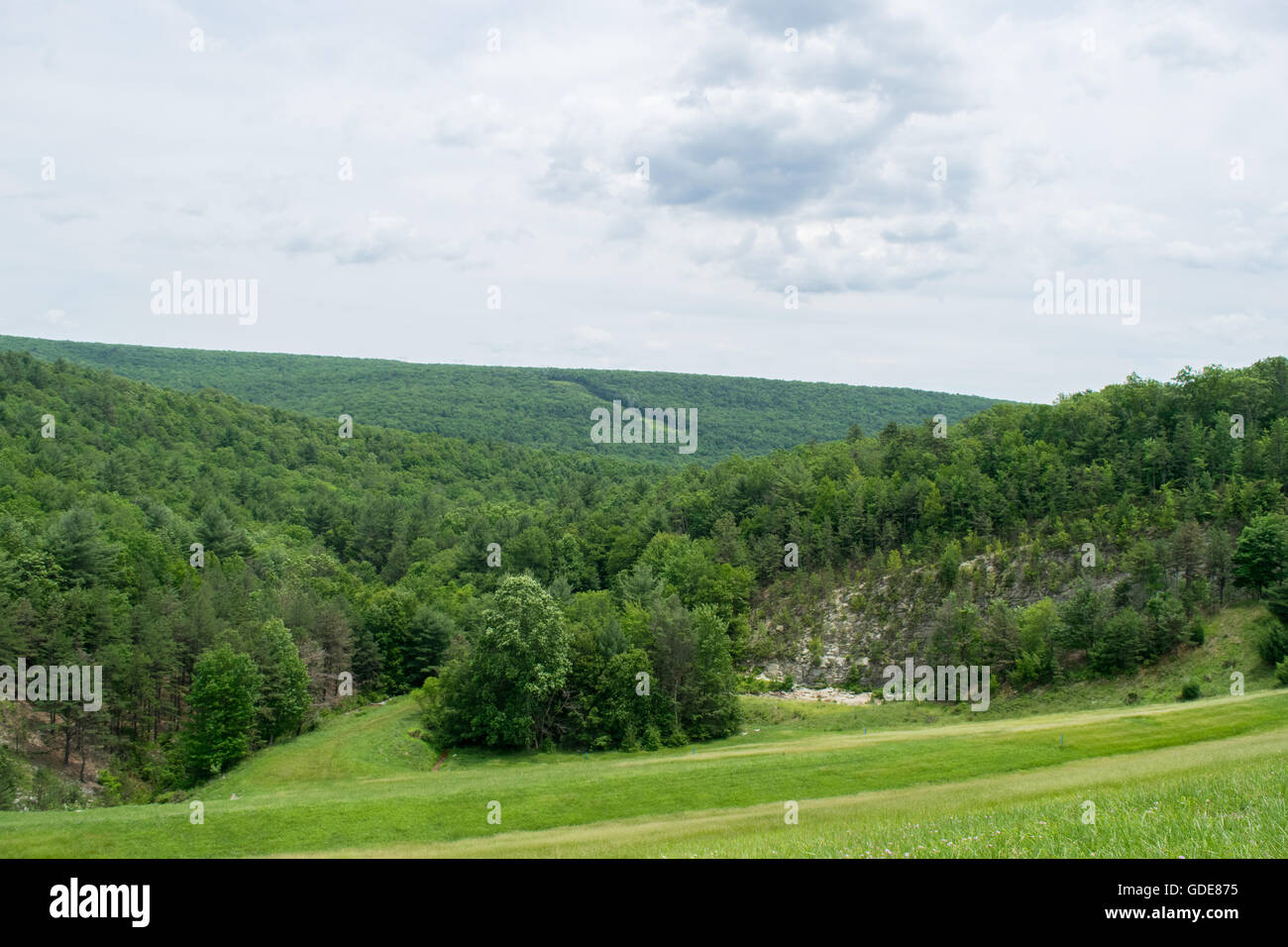 Landscape On Michaux State Forest Stock Photo Alamy Landscape On Michaux State Forest Stock Photo Alamy