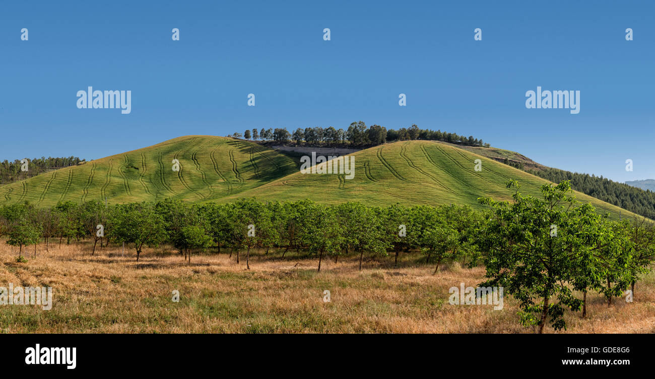 Hilly landscape in central Sicily Stock Photo