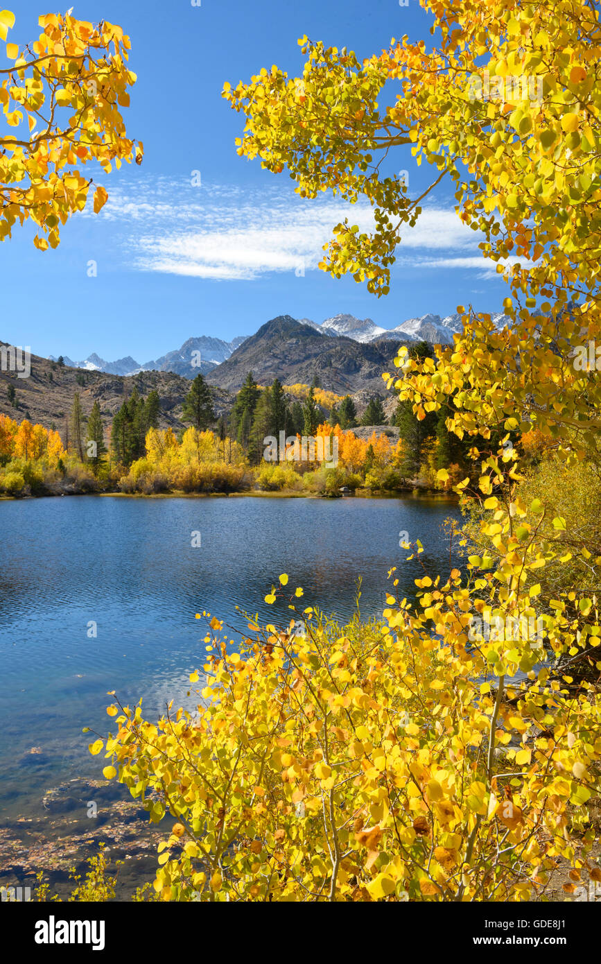 USA,California,Eastern creek,foliage,fall,autumn