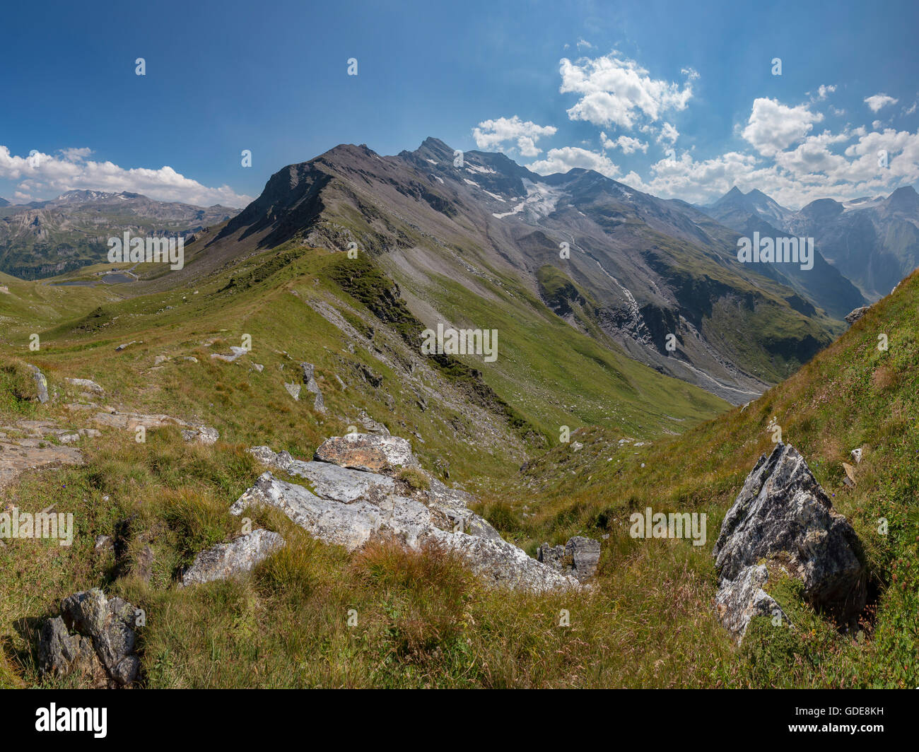 Ferleiten,Austria,Grossglockner High Alpine Road,alpine meadow Stock Photo