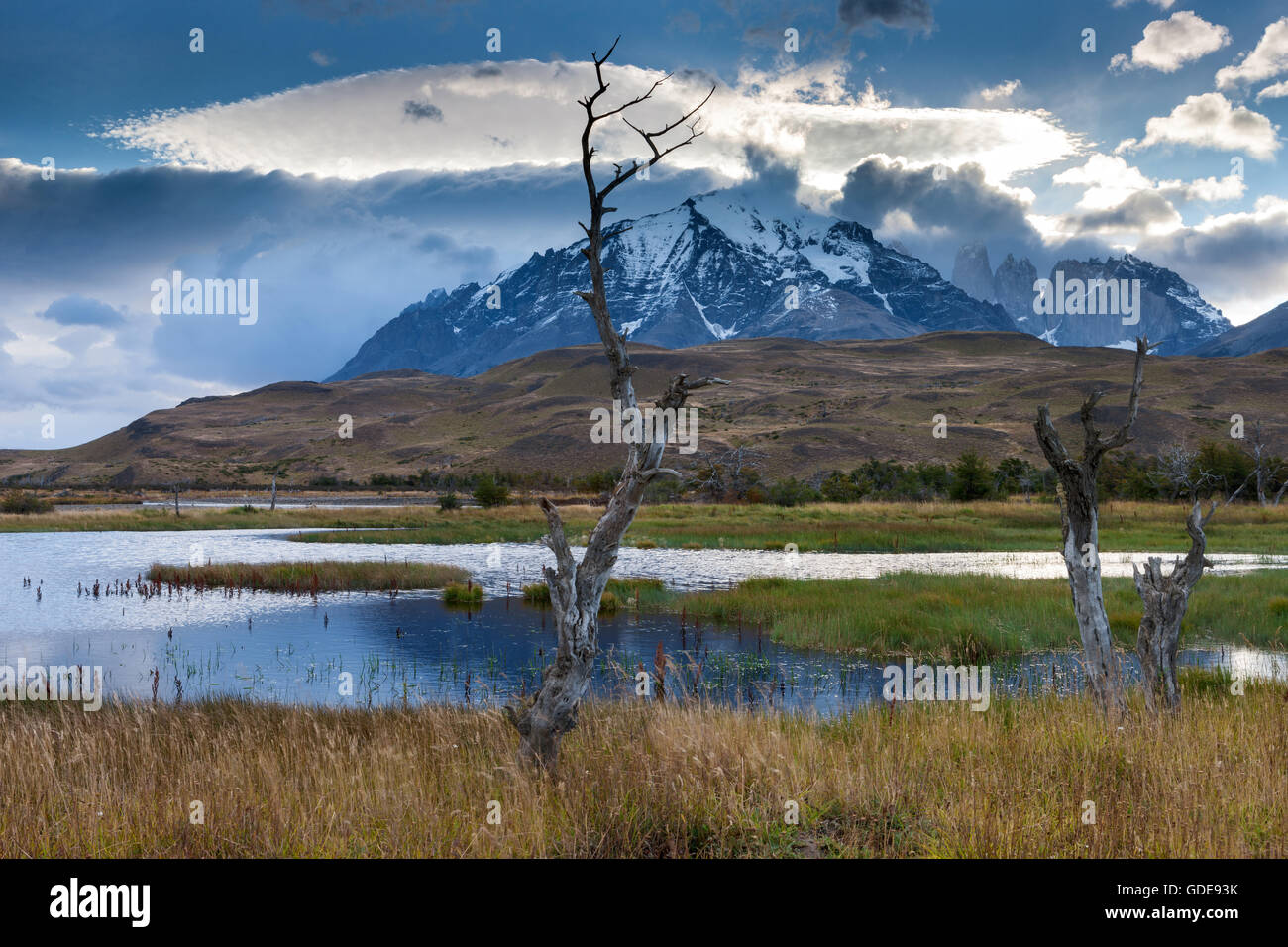 Rio Paine,Chile,Patagonia, Stock Photo