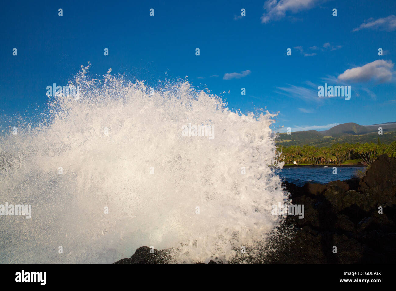 Big Island,palms,Punaluu,Black sand Beach,Big Island,USA,Hawaii,America,foam,surf, Stock Photo
