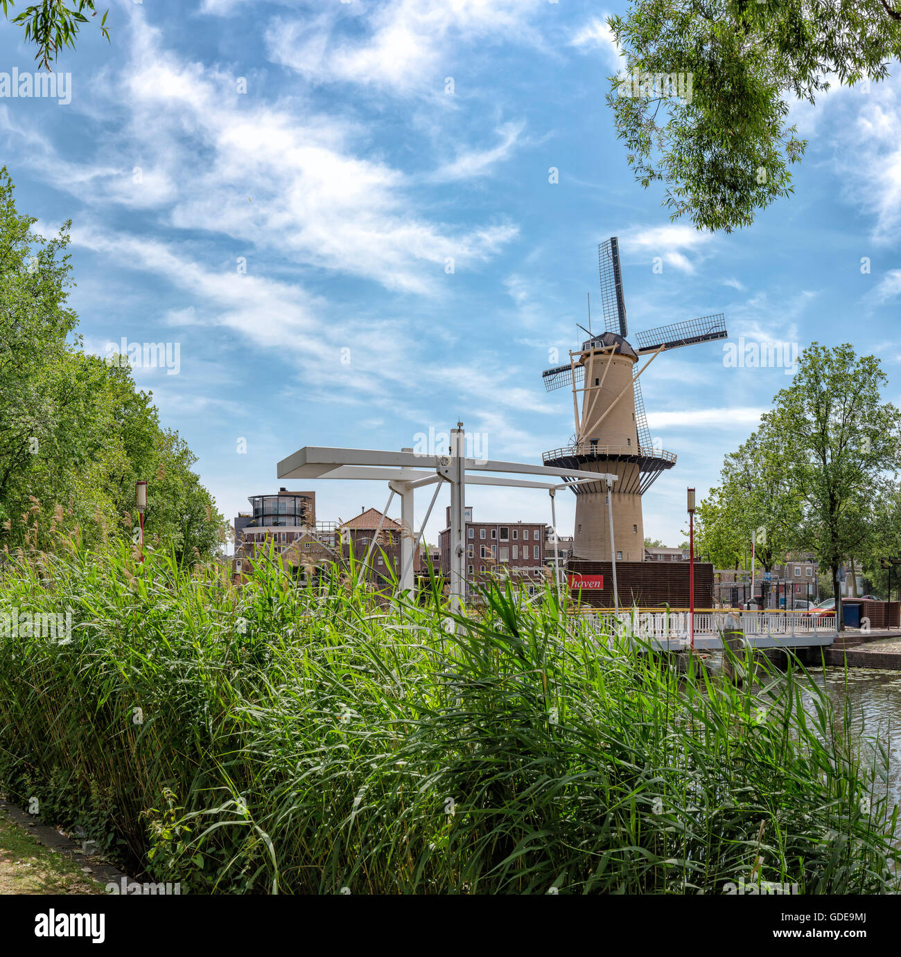 Schiedam,Tower mill The Camel Stock Photo