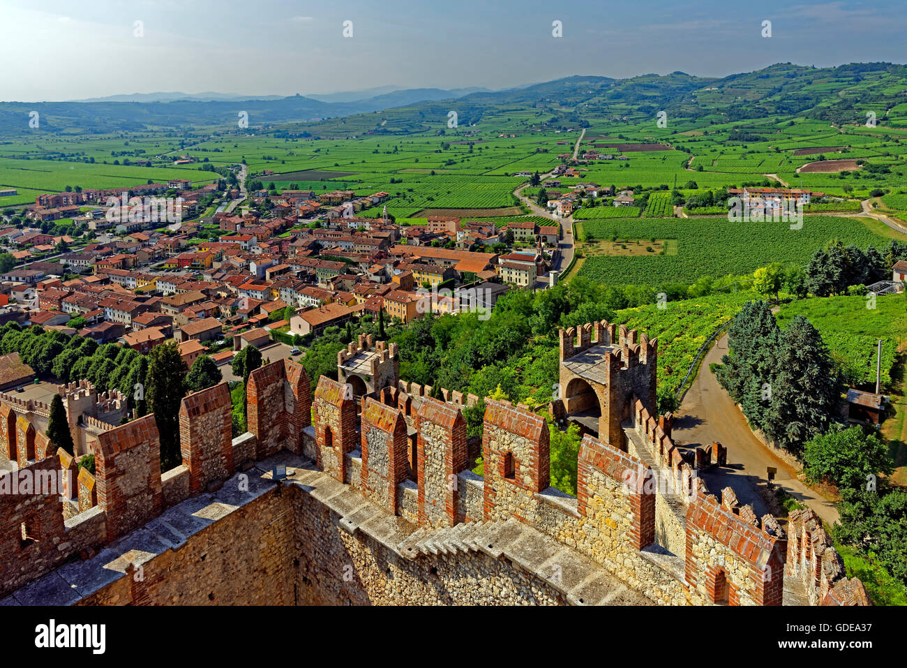 Scalierburg,Castello Medievale,vineyards,town,Soave Stock Photo