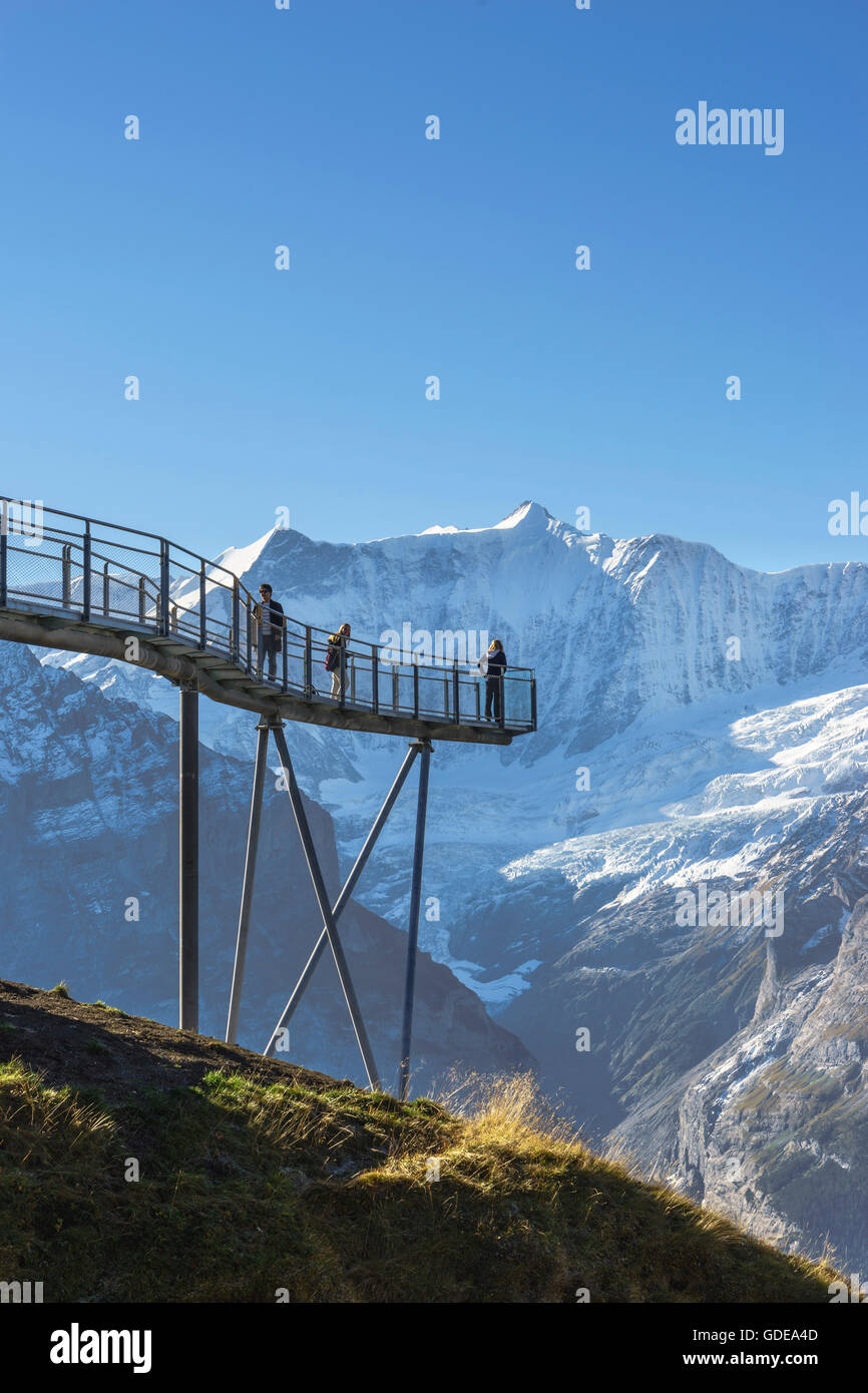 Summit trail and observation platform with the name First Cliff Walk at the top of First above Grindelwald,Bernese Oberland,Sw Stock Photo