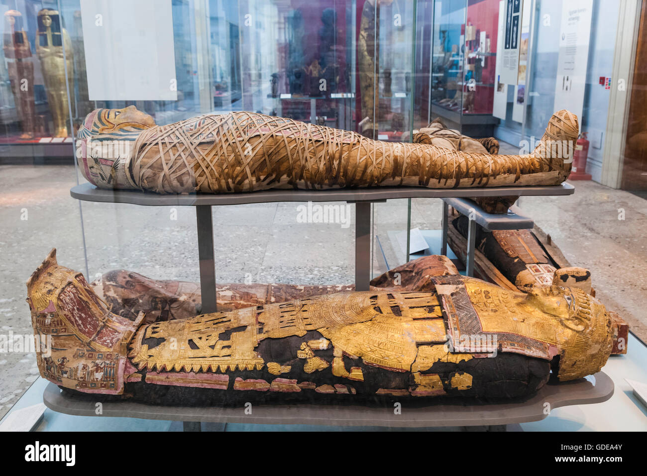 England,London,British Museum,Exhibit of Egyptian Mummies Stock Photo