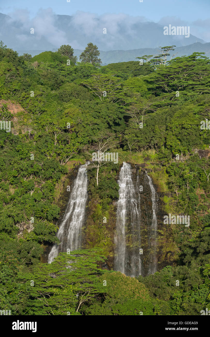 USA,Vereinigte Staaten,Amerika,South Pacific,Hawaii,Kauai,Lihue,Opaekaa Falls Stock Photo