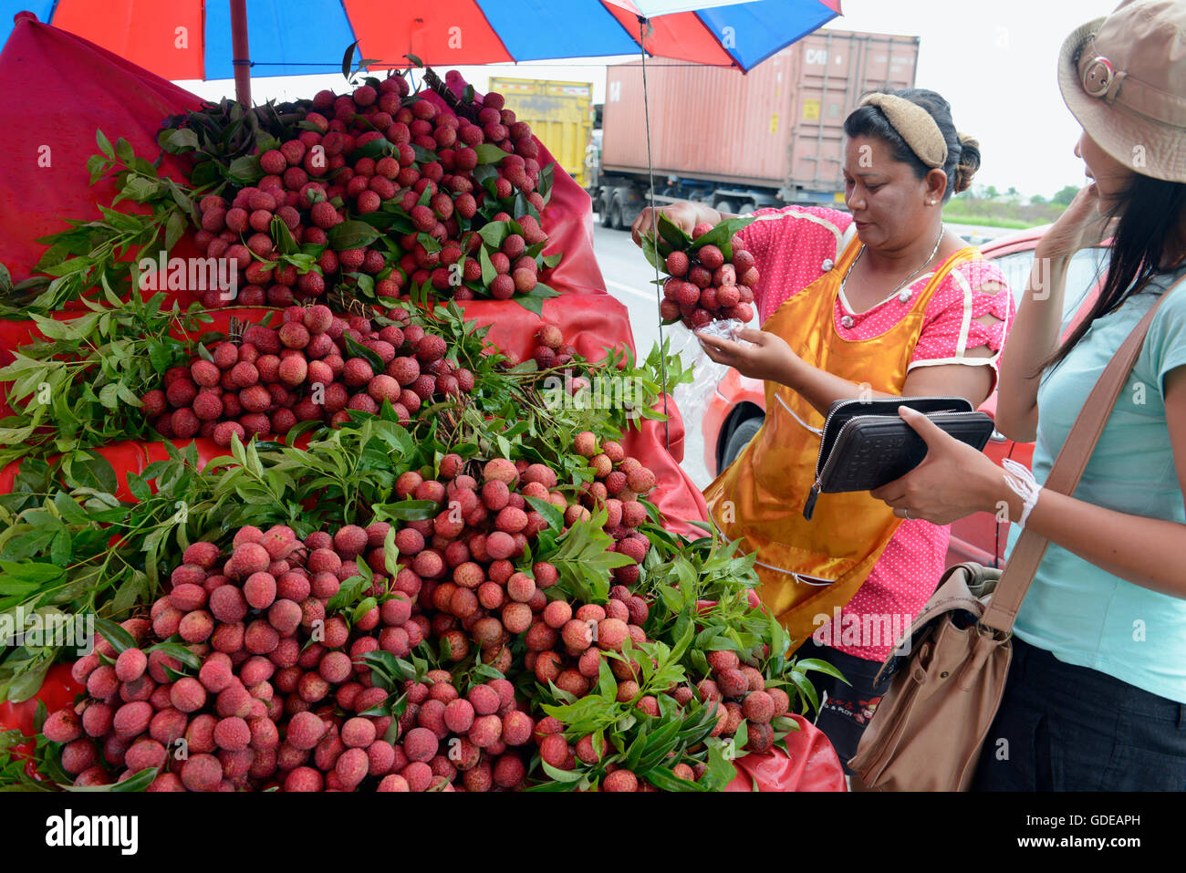 Lechee Fruits at the day Market in the city of Phuket on the Phuket Island in the south of Thailand in Southeastasia. Stock Photo