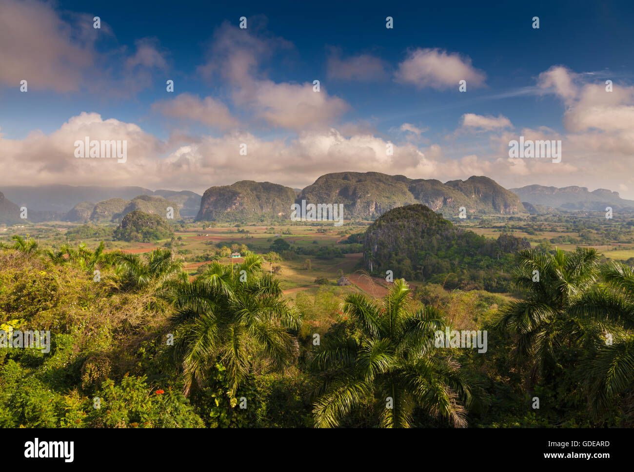 Exceptional view of the Vinales valley, Pinar del Rio, Cuba Stock Photo