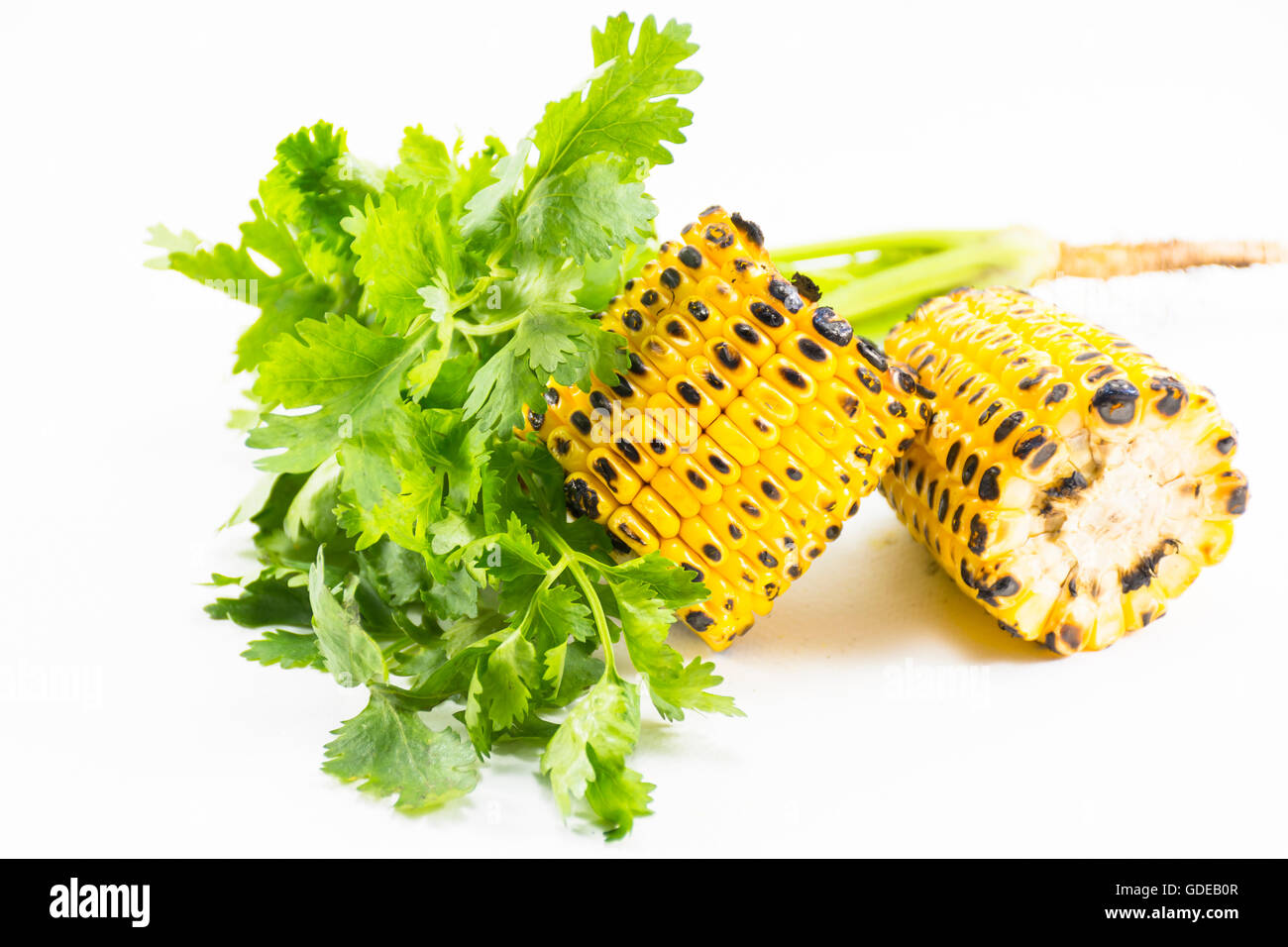 Grilled corn with coriander isolated on white background.Food hi-fiber and hi-vitamin. Stock Photo