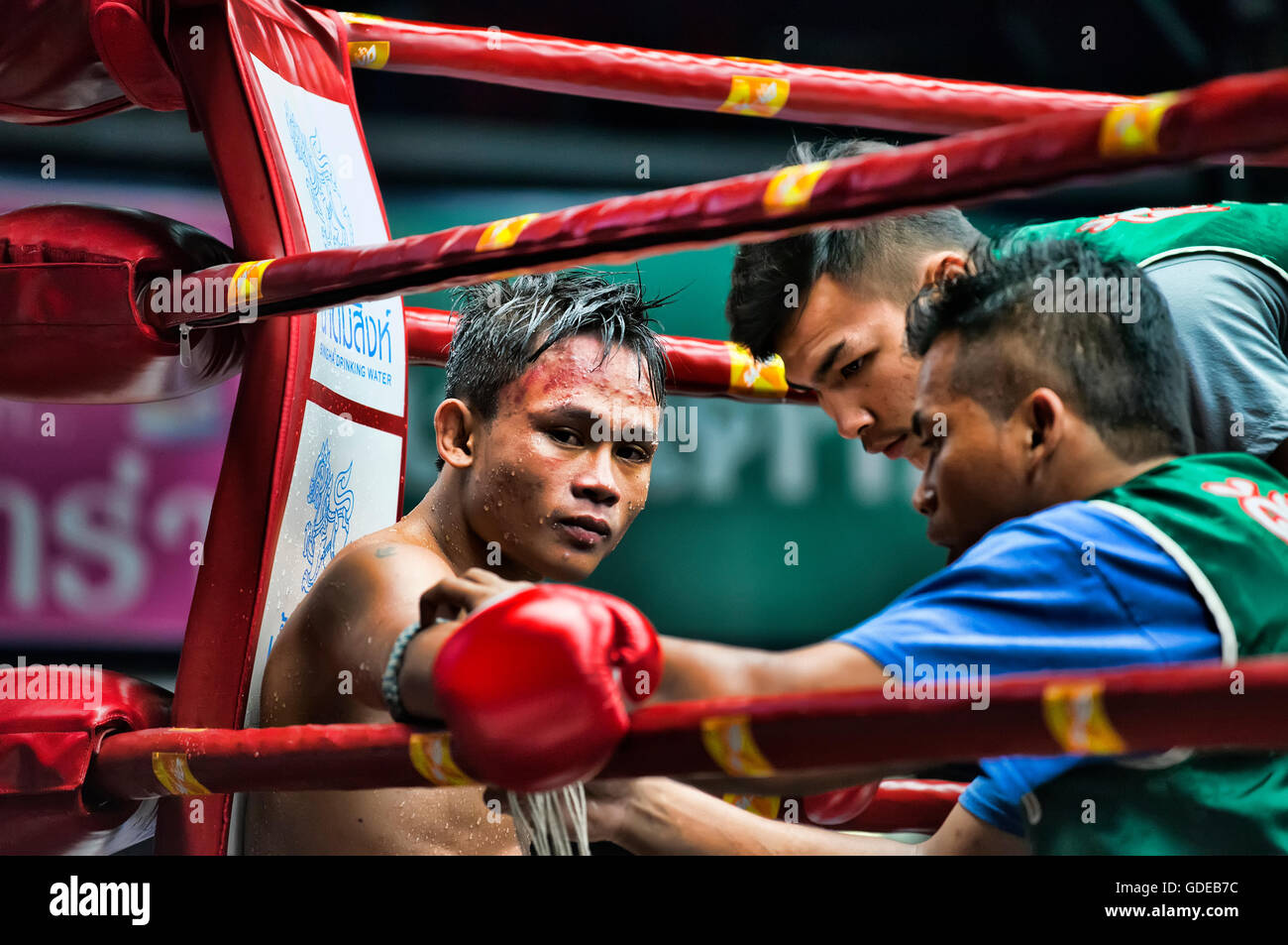 Thai boxing, Bangkok, Thailand Stock Photo Alamy
