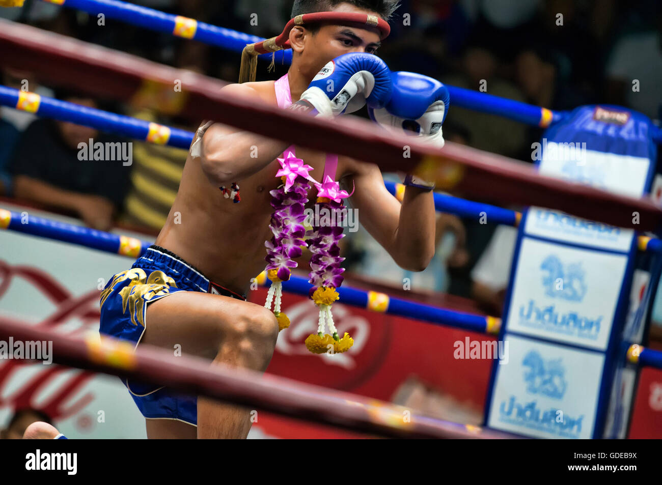 Thai boxing, Bangkok, Thailand Stock Photo Alamy