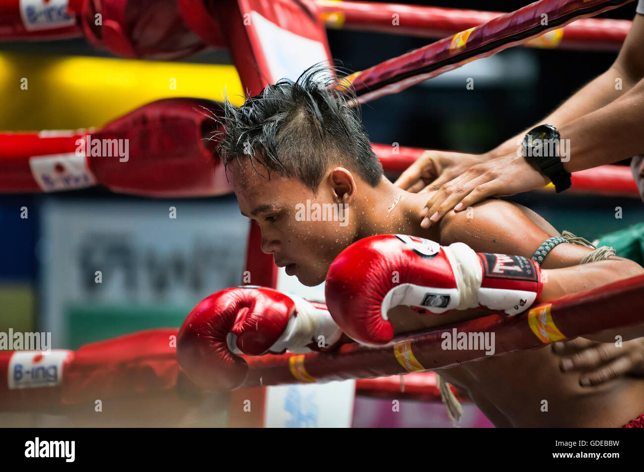 Thai boxing, Bangkok, Thailand Stock Photo Alamy