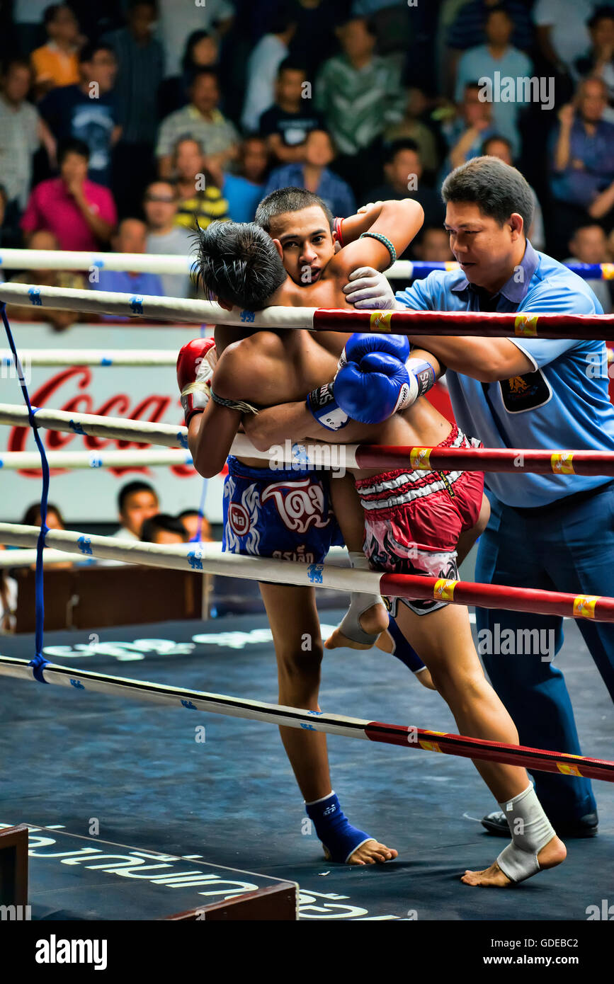 Thai boxing, Bangkok, Thailand Stock Photo Alamy