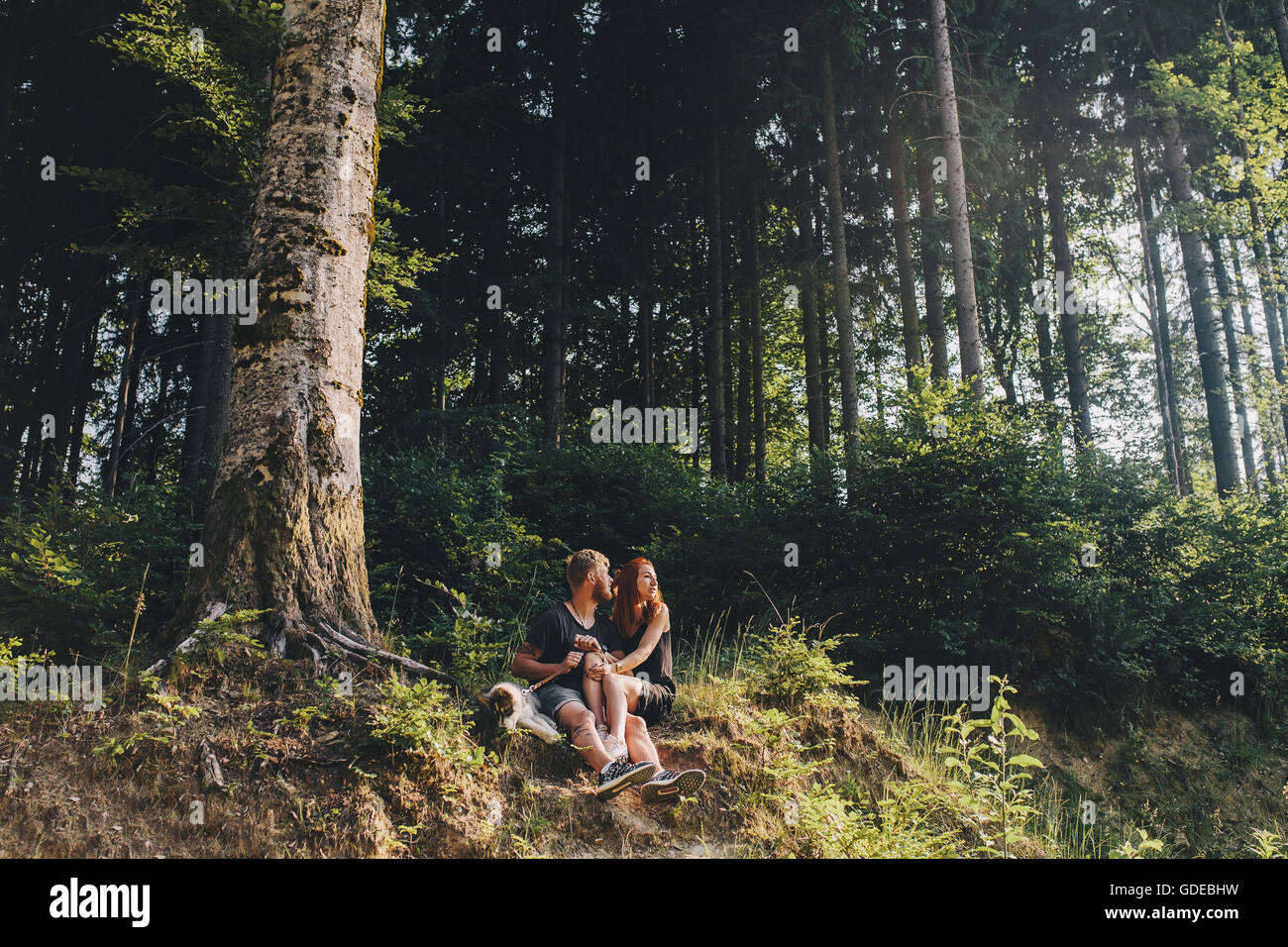 beautiful couple sitting in a forest near the tree Stock Photo - Alamy