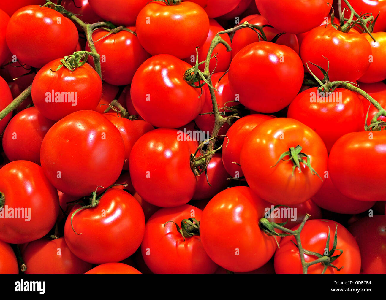 Red tomatoes background Stock Photo