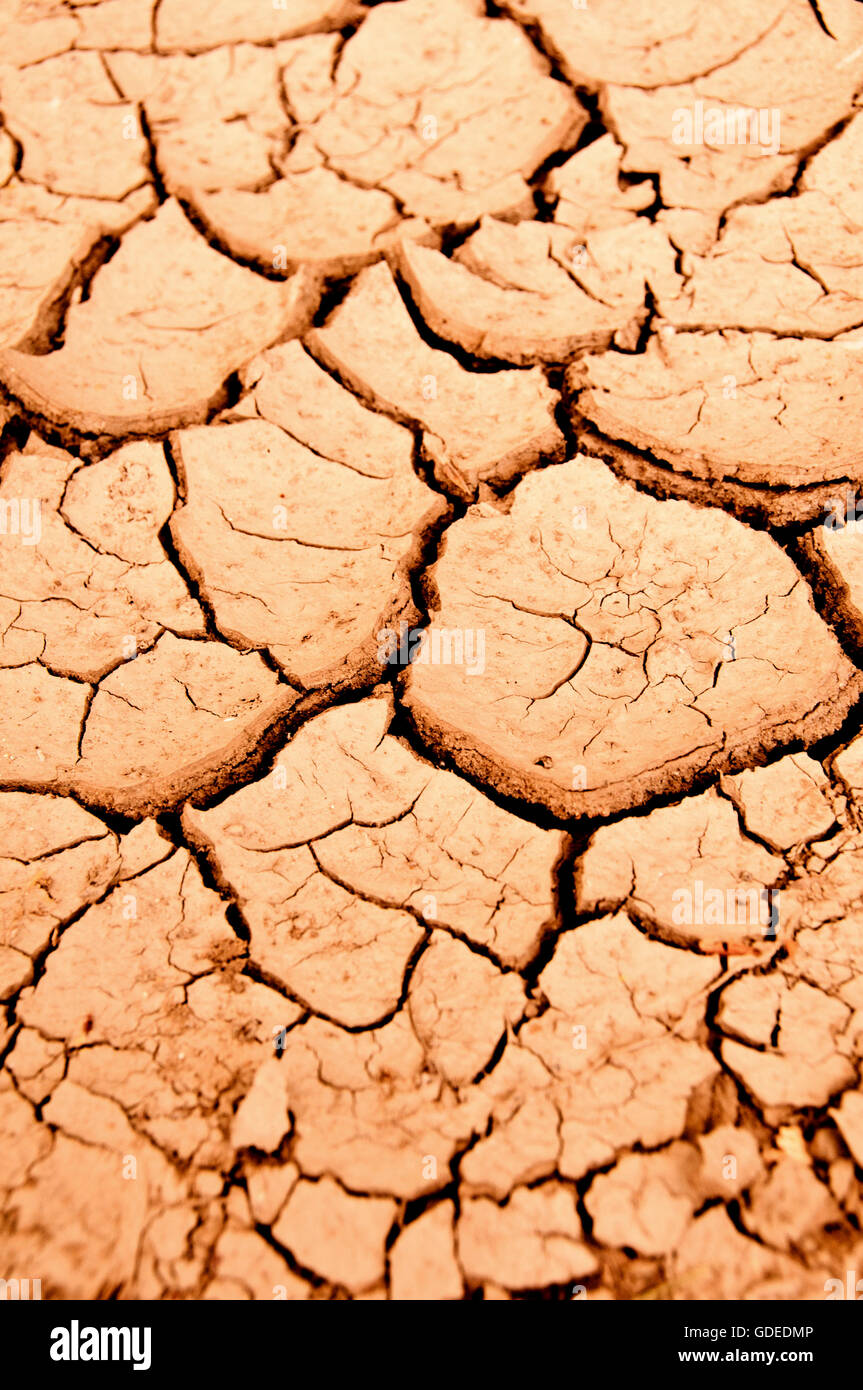 extremely dry ground cracked, water shortage concept Stock Photo
