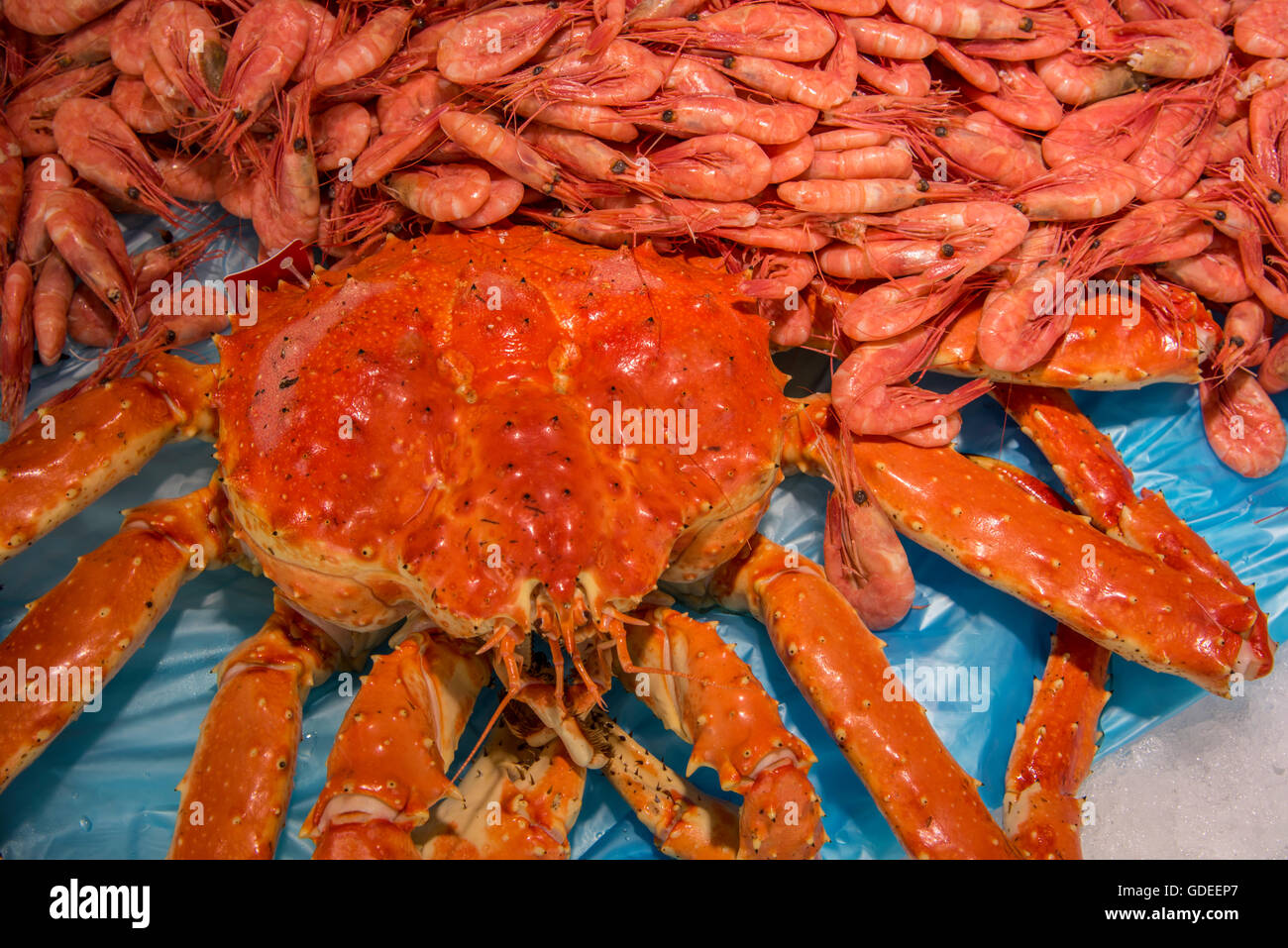 Close up of fresh crab and shrimp from the Sea. Famous Bergen Fish Market, Bergen, Norway, Hordaland, Scandanavia Stock Photo