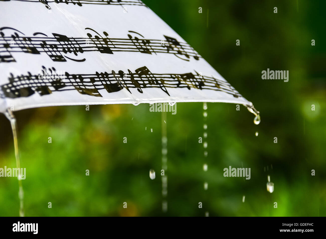 umbrella in rain Stock Photo Alamy