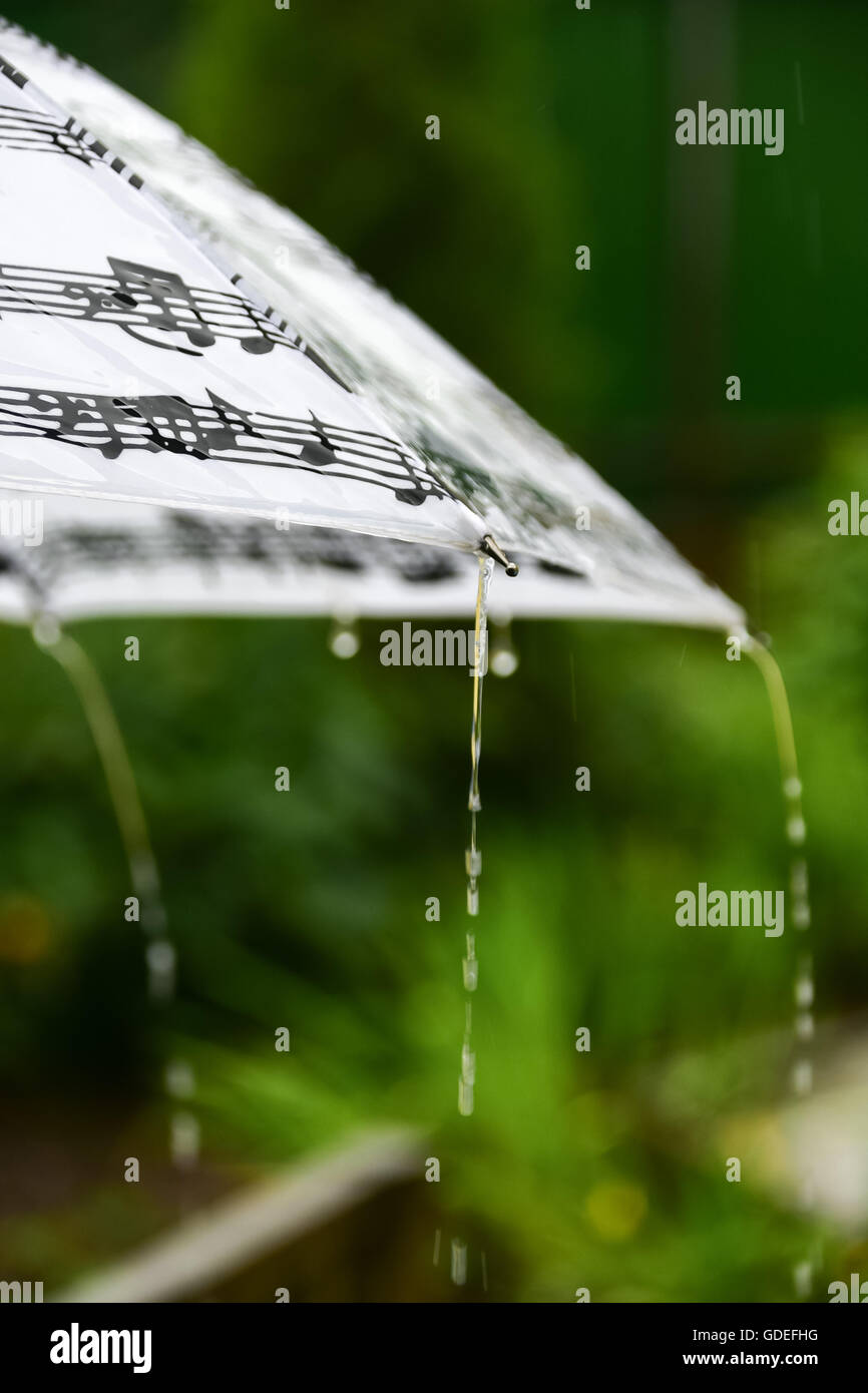 434,497 Rainy Day Images, Stock Photos, 3D objects, & Vectors