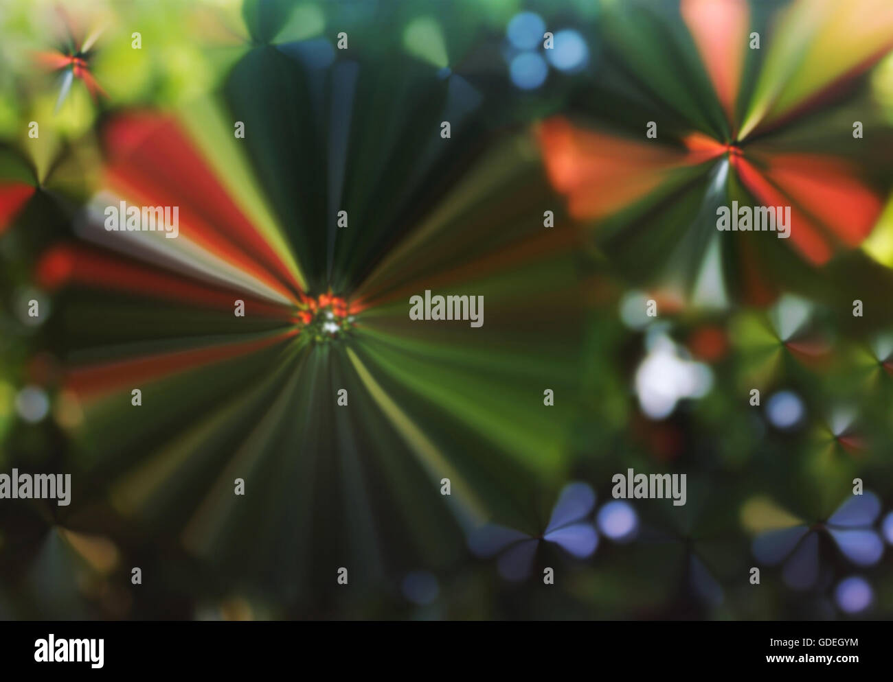 Colourful spark and blow abstract flowers shape blurred background