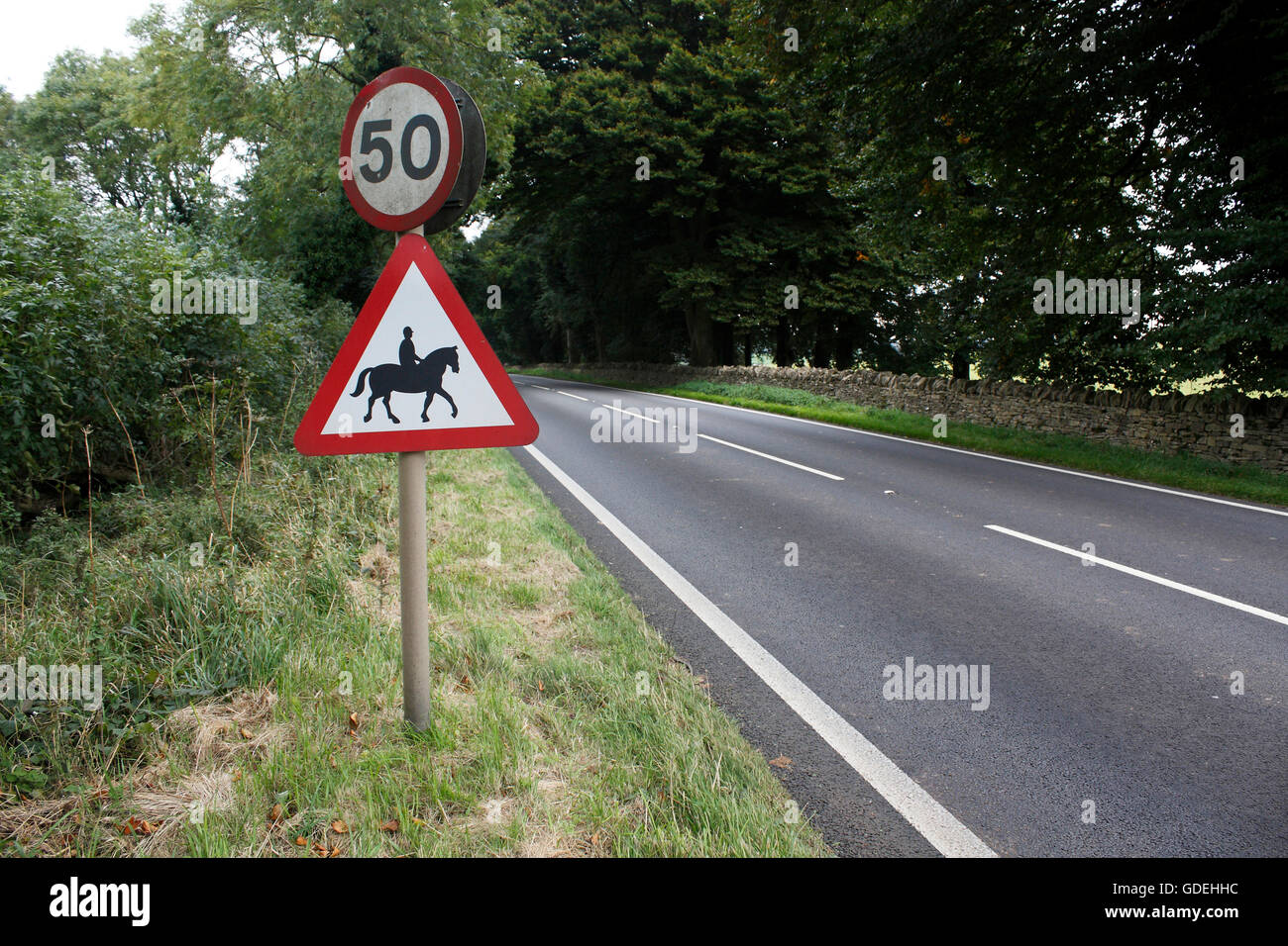 Horse road crossing hires stock photography and images Alamy