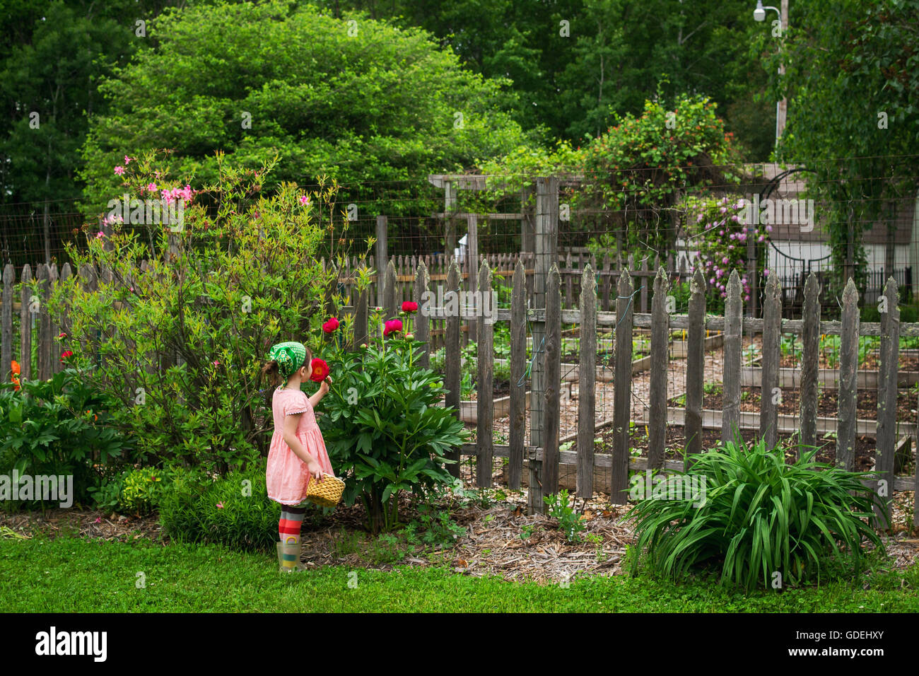 Girl smelling a flower by vegetable garden Stock Photo