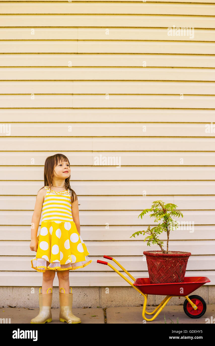 Girl in polka dot dress standing by wheelbarrow with plant Stock Photo