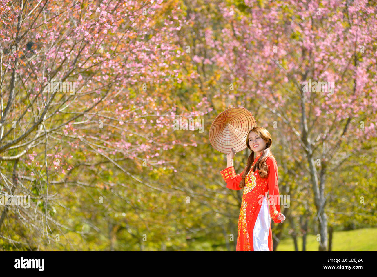 Smiling Woman standing in cherry blossom orchard wearing traditional Chinese clothing Stock Photo