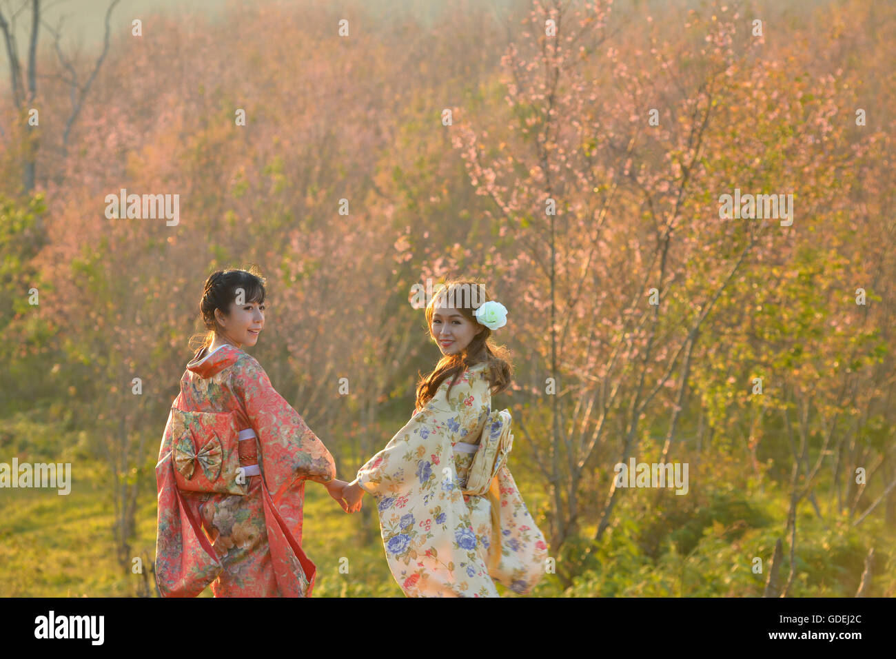 Two smiling women holding hands in cherry blossom orchard wearing traditional Japanese clothing Stock Photo