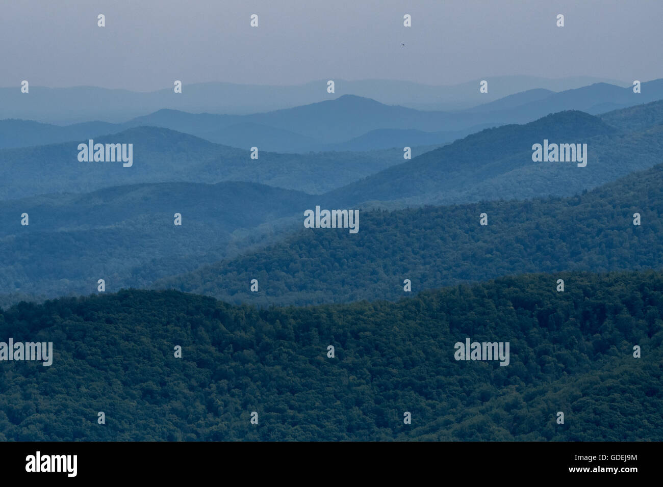 Layers of Mountains in Virginia in early summer Stock Photo