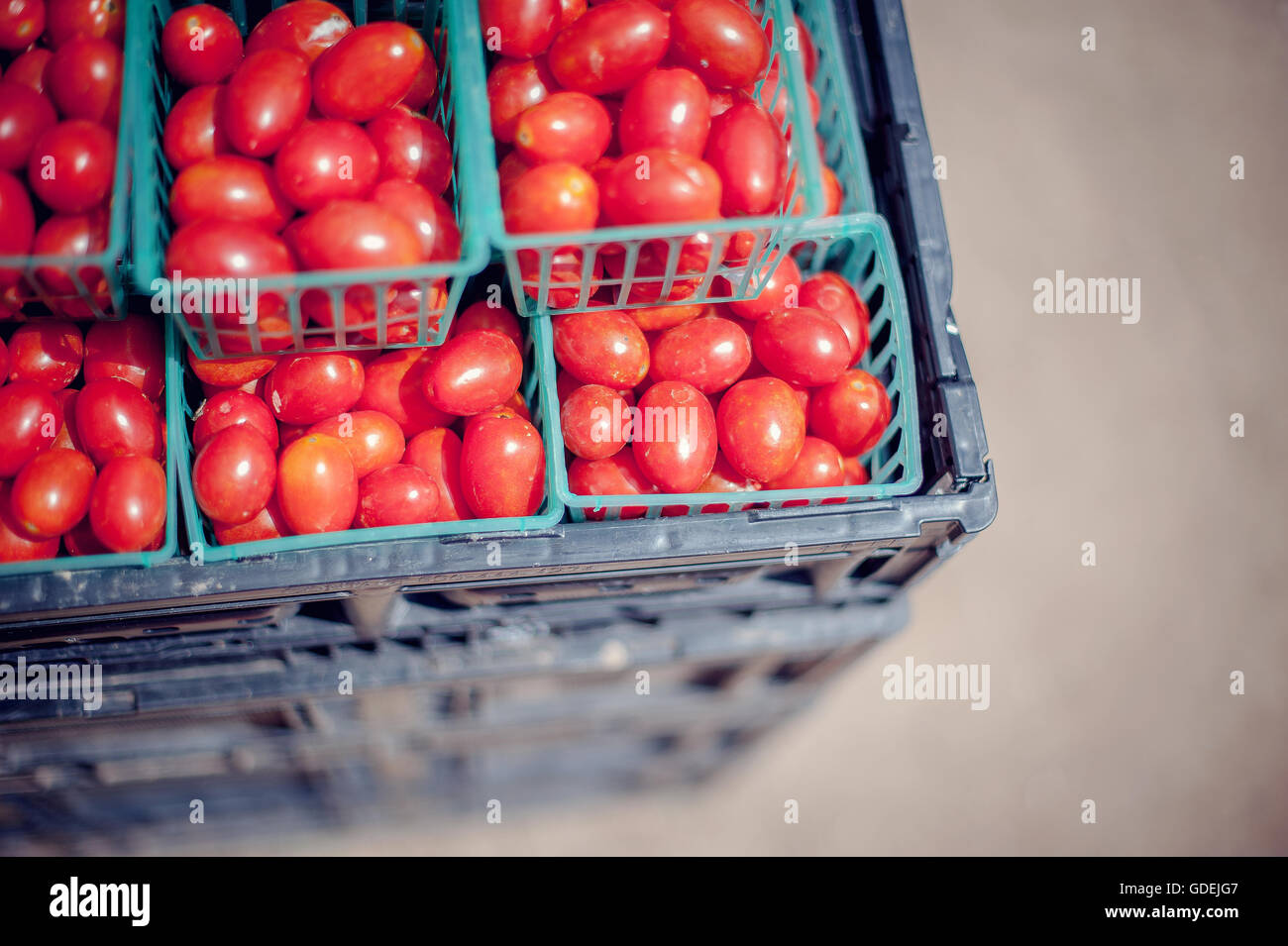 crates of cherry tomatoes at farmers market Stock Photo